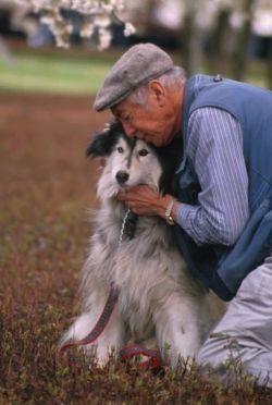 dog-elderly2.jpg
